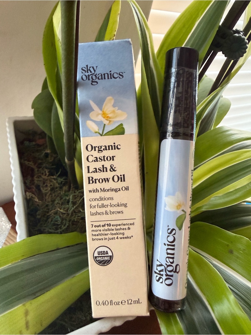 Sky Organics Organic Castor Lash & Brow Oil - Cream and Light Blue - Picture 1 of 5